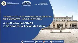 9. A los 11 años del CPACA y 30 años de la Acción de Tutela - Control de constitucionalidad CE