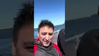 Cruise ship Canada limanı