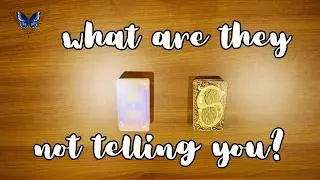 ❤️‍🔥❤️‍🩹 *NO CONTACT* WHAT ARE THEY NOT TELLING YOU? ❤️‍🔥❤️‍🩹😍🥰 Timeless Tarot Reading 🔮💫