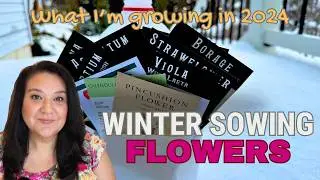 Flower Seeds I’m Winter Sowing in 2024