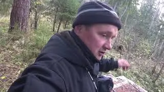 С РУССКОЙ ГОНЧЕЙ выход в лес.