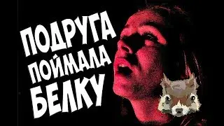 ПОДРУГА ПОЙМАЛА БЕЛКУ НА ЗАБРОШКЕ!!НЕ ВОШЕДШЕЕ