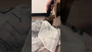 Стрижем кошку дома / стрижка кошки