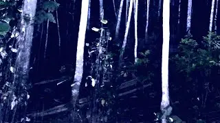 LIVE MISTERI MALAM JUMAT