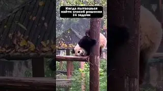 34 задача 