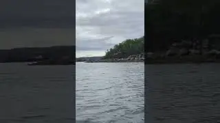 Выход из Видяево