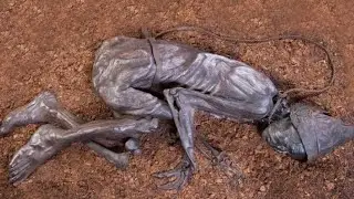 The Last Meal of the Tollund Man