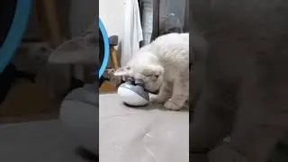 Массаж с продолжением