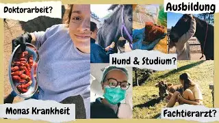 TIERMEDIZIN Q&A // Monas Krankheit, Osteopathie-Ausbildung, Hund im Studium, Marathon etc...💛🐭✨