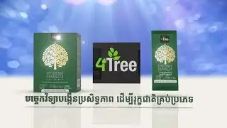 4TREE Cambodia បច្ចេកវិទ្យាបង្កើនប្រសិទ្ធភាព