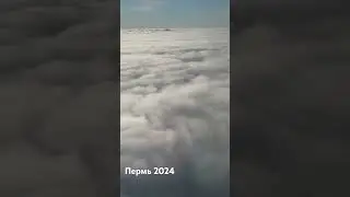 5 мая 2024 г.