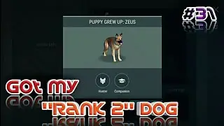 Got the Rank 2 Dog!? Hunter Dog?! - Last Day On Earth Survival