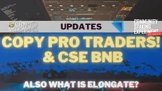 CSE BNB and Copy Pro Traders Update plus What is Elongate?