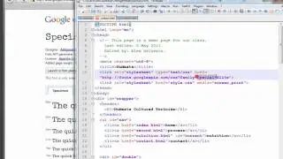 Google Font API