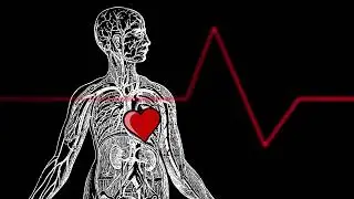 Free Heartbeat Animation Video Footage