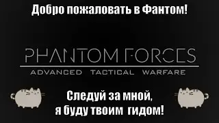 Гайд для новичков | Phantom Forces