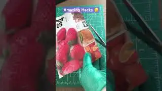 Cut to Perfection: Choosing the Best Scissors for Your Craft! 