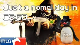 Just a normal day in CS:GO