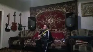 "Далеко журавли улетели"