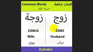 Husband and Wife in Arabic| زوج - زوجۃ