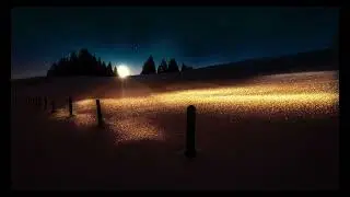 Singing Cicadas and Crickets// Crickets Summer Night/Deep Sleep Music