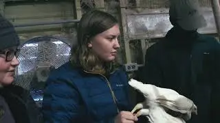 POULTRY SCIENCE Promo Video