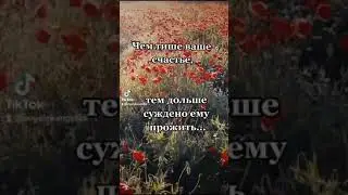 Тишина