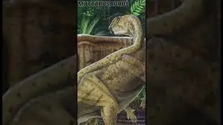 Muttaburrasaurus - Un jour, Un dino