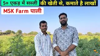 50 एकड़ में सब्जी की खेती से, कमाते हैं लाखों @Mskfarms #farming