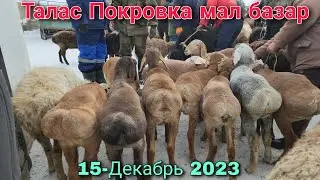 Мал базар Талас Покровка 15-Декабрь 2023