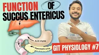 intestinal secretions physiology | succus entericus function | composition of succus entericus