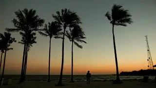 Winter Morning in the Florida Keys
