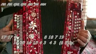Черный кот, видеоразбор на гармони.