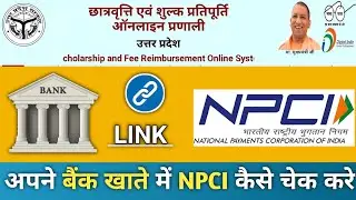 NPCI Problem in Up Scholarship 2024✅|| NPCI Kaise Check kare 2024 ✅ || Aadhar Seading With Bank 2024