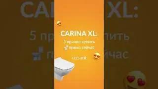 CARINA XL🚽Честный обзор подвесного унитаза 