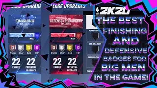 *Best Badges For Finishing And Defending* The *BEST* Two-Way Finisher Build On NBA 2K20