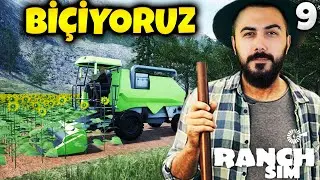 TARLALARI BİÇİYORUZ!! RANCH SIMULATOR (Bölüm:9) | Barış Can