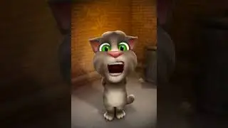 Yalili yalila tom