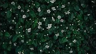 Beautiful Piano Music - Relaxing Music, Study Music, Stress Relief, Sleep Music (SMG) #7  # 873
