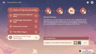 The Recollector's Path | Trial 6 | Completion Tips | Genshin Impact | Gameplay (PC)