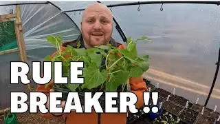 Breaking Gardening Rules!!!!