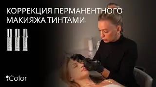 Коррекция перманентного макияжа бровей