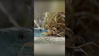 Молния 2 раза в одно место не бьет?
