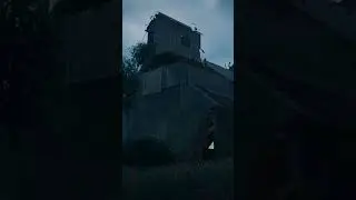 🎵