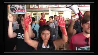 The Animal Activist Mob