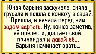 Как у конюха оказался слишком большой! Сборник свежих анекдотов!