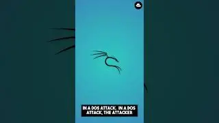 DoS and DDoS Attack Explained!