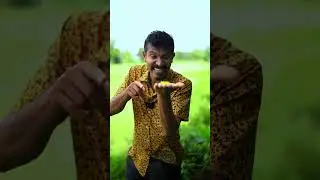 සෝදාපාලුවට ලක්වෙන අපේ බෙහෙත්
