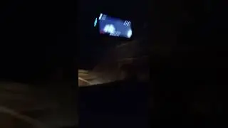 пчелки на кочёвку.