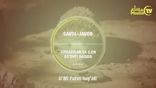35  Savol javob  Tipratikan va ilon go shti haqida